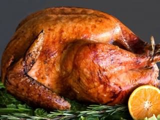 Grilled Turkey